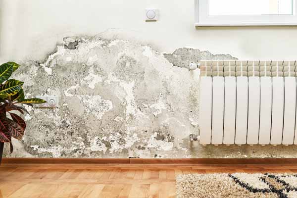 Expert mold inspection for your Johnstown, Ohio home or property