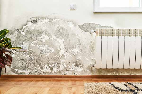 Expert mold inspection for your Logan, Ohio home or property